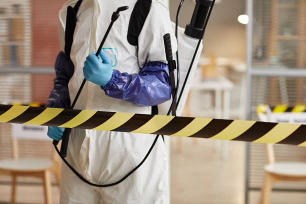 Professional Hoarding Cleanup technician working in Nashville, MI